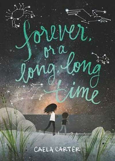 Forever, or a Long, Long Time, Hardcover