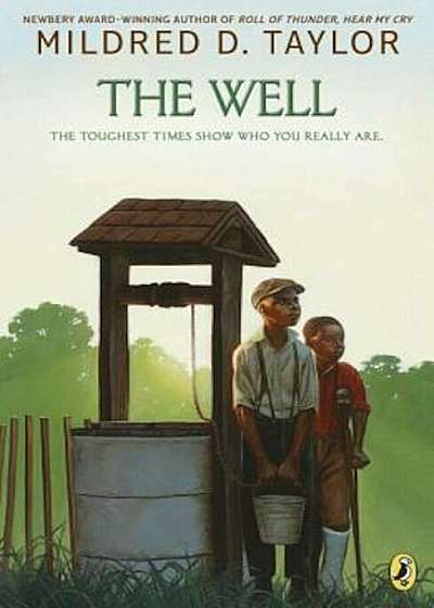 The Well, Paperback