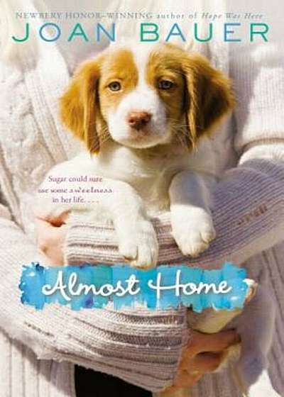 Almost Home, Paperback