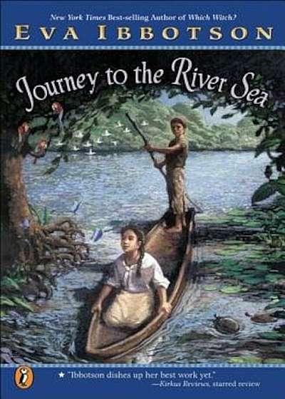 Journey to the River Sea, Paperback
