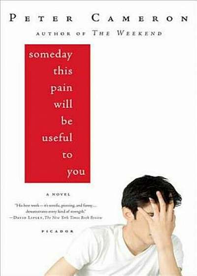 Someday This Pain Will Be Useful to You, Paperback
