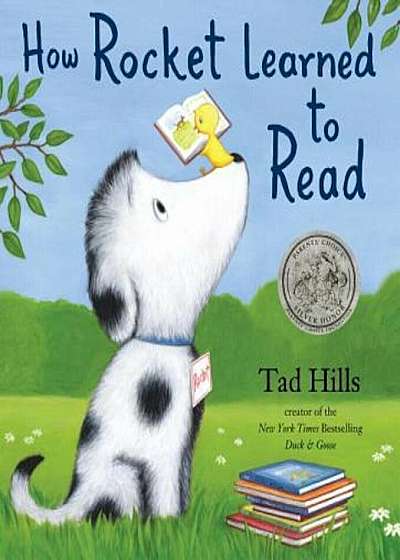 How Rocket Learned to Read, Hardcover
