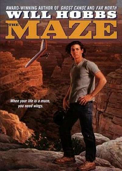 The Maze, Paperback