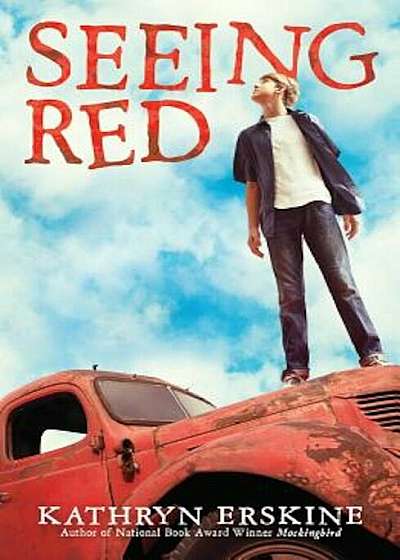 Seeing Red, Hardcover