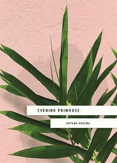 Evening Primrose: a heart-wrenching novel for our times, Paperback