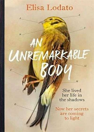 Unremarkable Body, Hardcover