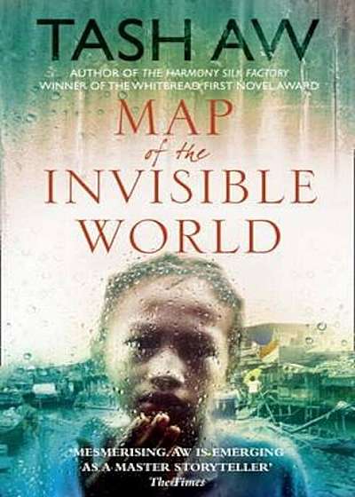 Map of the Invisible World, Paperback