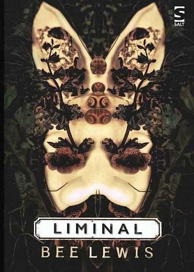 Liminal, Paperback