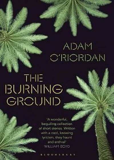 Coperta cărții Burning Ground, Paperback de Adam O'riordan