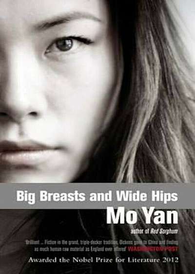 Big Breasts, Wide Hips, Paperback