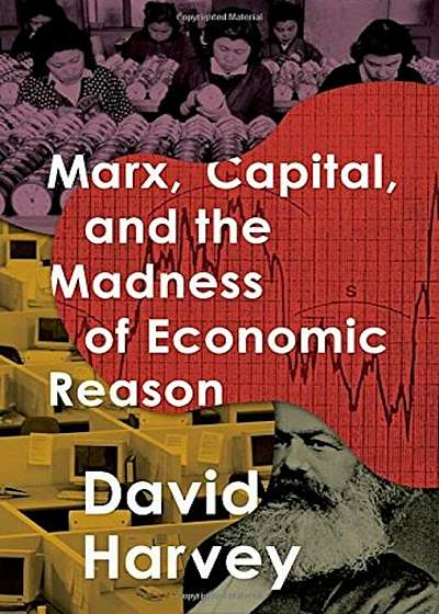 Marx, Capital, and the Madness of Economic Reason, Hardcover