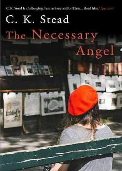 Necessary Angel, Paperback