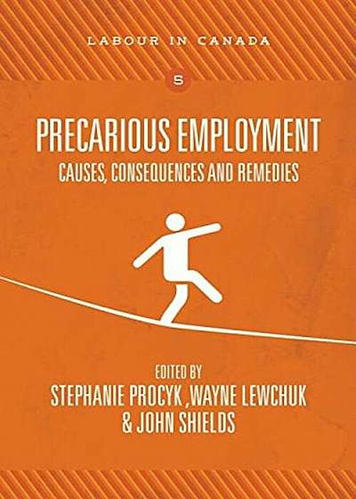 Precarious Employment: Causes, Consequences and Remedies, Paperback