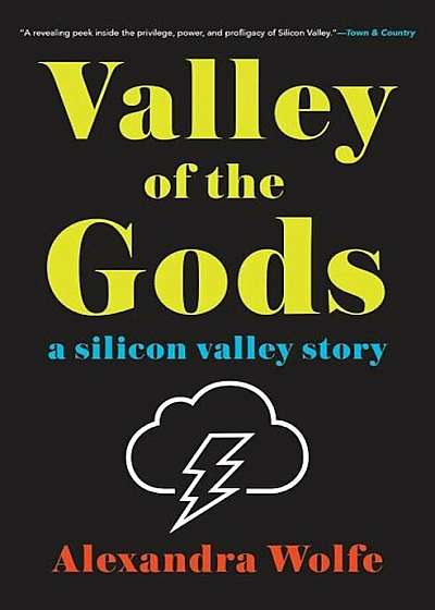 Valley of the Gods: A Silicon Valley Story, Paperback