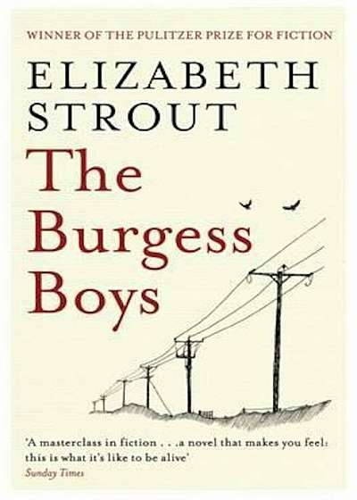 Burgess Boys, Paperback