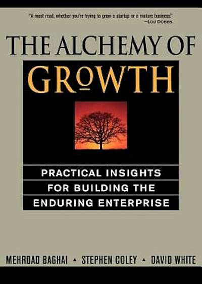 The Alchemy of Growth, Paperback