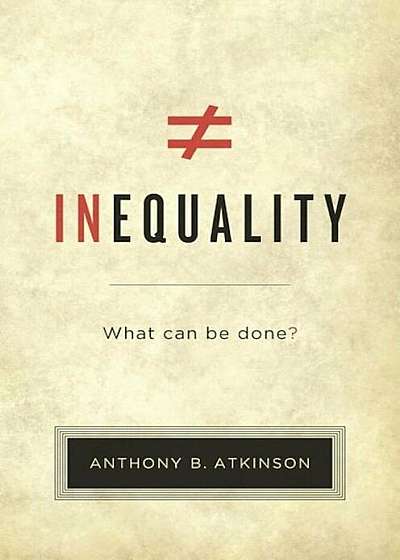 Inequality: What Can Be Done', Paperback