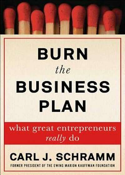 Burn the Business Plan: What Great Entrepreneurs Really Do, Hardcover