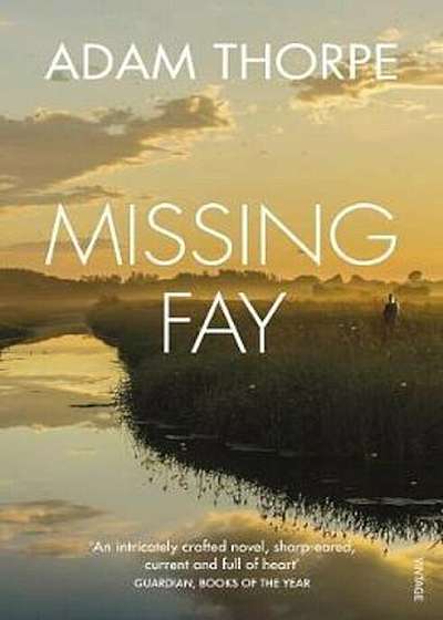 Missing Fay, Paperback