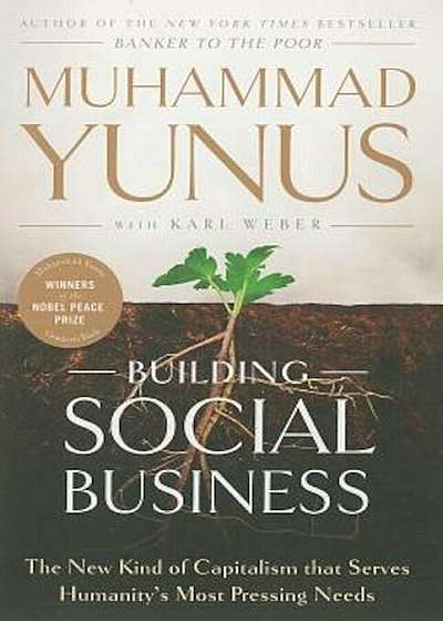 Building Social Business: The New Kind of Capitalism That Serves Humanity's Most Pressing Needs, Paperback