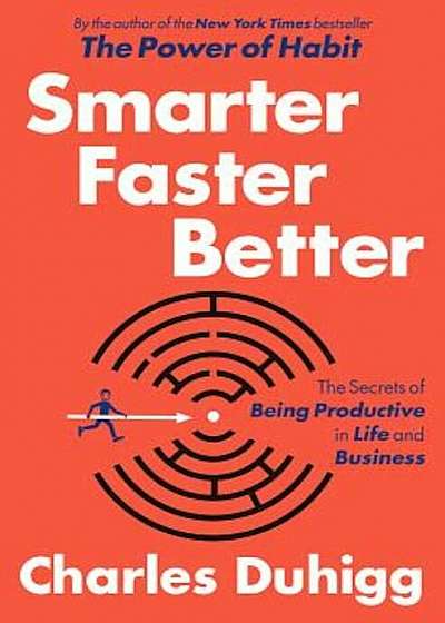 Smarter Faster Better: The Secrets of Being Productive in Life and Business, Hardcover