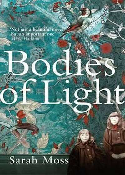 Bodies of Light, Paperback
