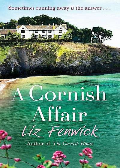Cornish Affair, Paperback