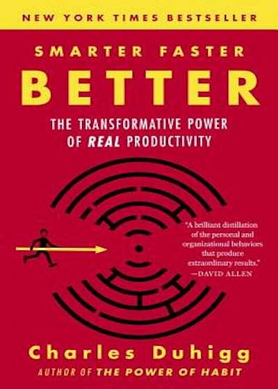Smarter Faster Better: The Transformative Power of Real Productivity, Paperback