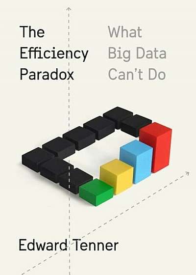 The Efficiency Paradox: What Big Data Can't Do, Hardcover