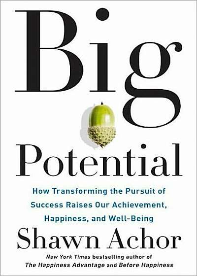 Big Potential: How Transforming the Pursuit of Success Raises Our Achievement, Happiness, and Well-Being, Hardcover