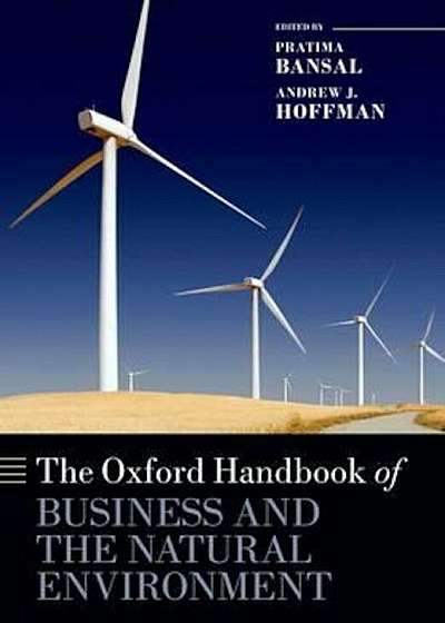 Oxford Handbook of Business and the Natural Environment, Paperback