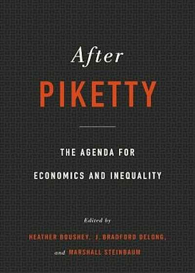 After Piketty: The Agenda for Economics and Inequality, Hardcover