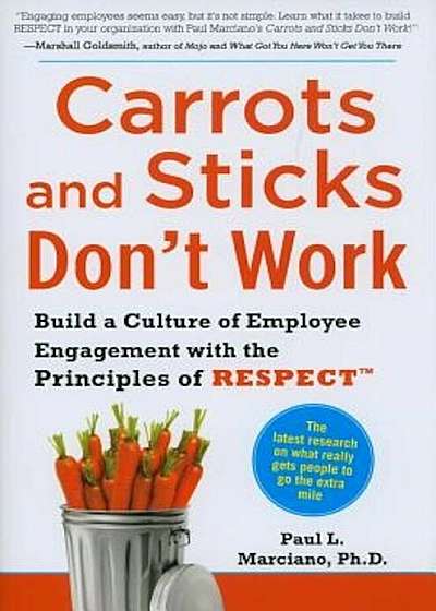 Carrots and Sticks Don't Work: Build a Culture of Employee Engagement with the Principles of RESPECT, Hardcover