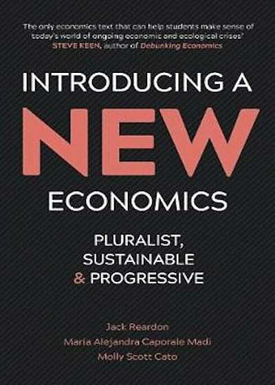 Introducing a New Economics, Paperback