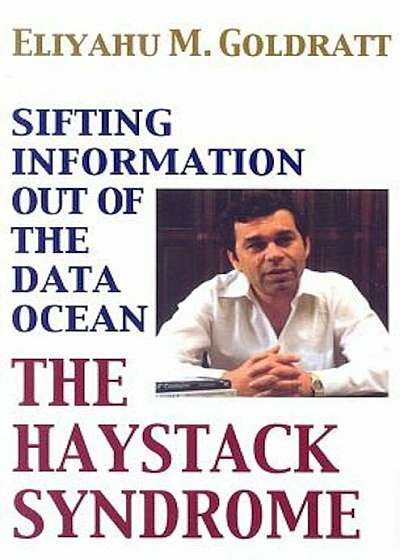 The Haystack Syndrome: Sifting Information Out of the Data Ocean, Paperback