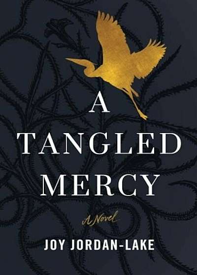 A Tangled Mercy, Paperback