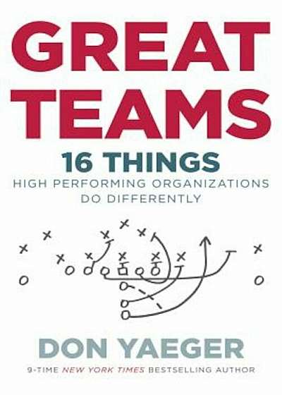 Great Teams: 16 Things High Performing Organizations Do Differently, Hardcover