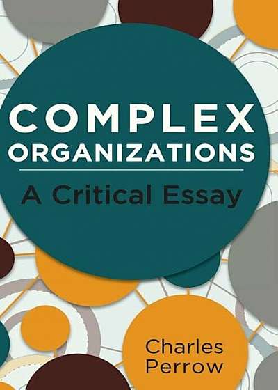 Complex Organizations: A Critical Essay, Hardcover