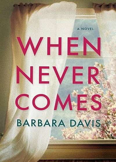 When Never Comes, Hardcover