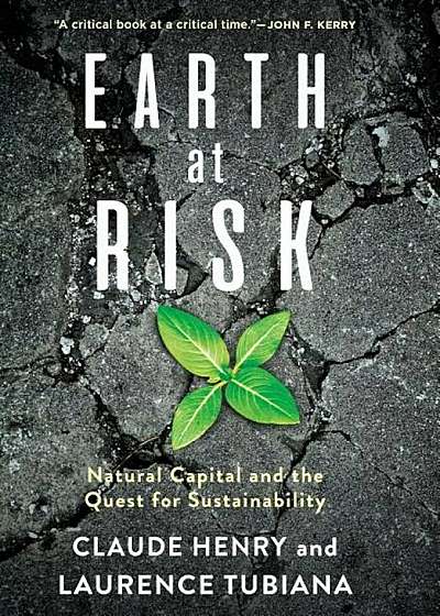 Earth at Risk: Natural Capital and the Quest for Sustainability, Hardcover