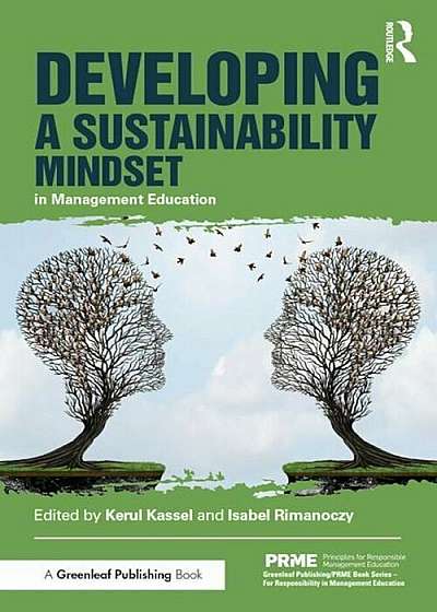 Developing a Sustainability Mindset in Management Education, Paperback