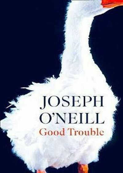 Good Trouble, Hardcover