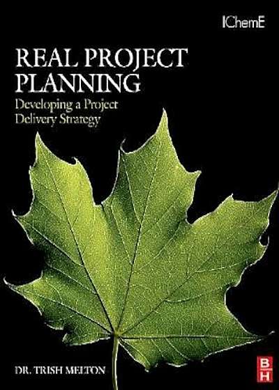 Real Project Planning: Developing a Project Delivery Strateg, Paperback