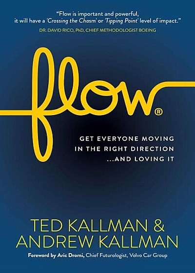 Flow: Get Everyone Moving in the Right Direction...and Loving It, Paperback