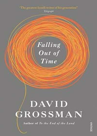 Falling Out of Time, Hardcover