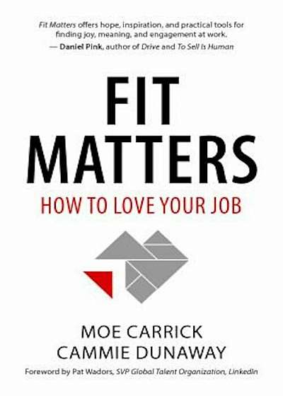 Fit Matters: How to Love Your Job, Hardcover