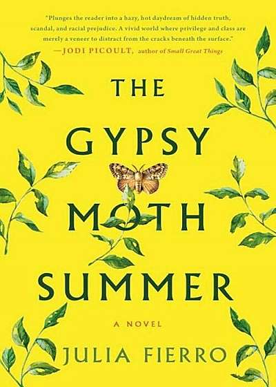 The Gypsy Moth Summer, Paperback
