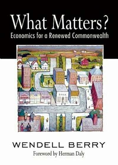 What Matters': Economics for a Renewed Commonwealth, Paperback