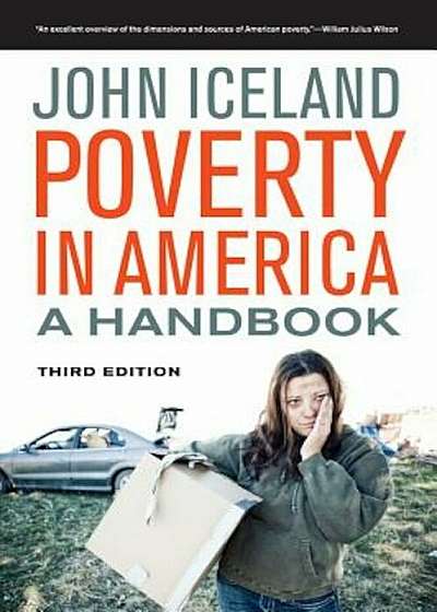 Poverty in America: A Handbook, Paperback
