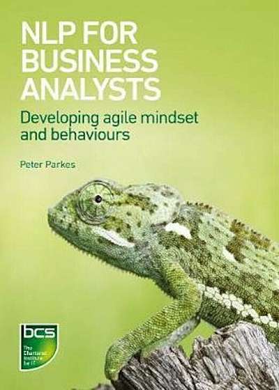 NLP for Business Analysts, Paperback